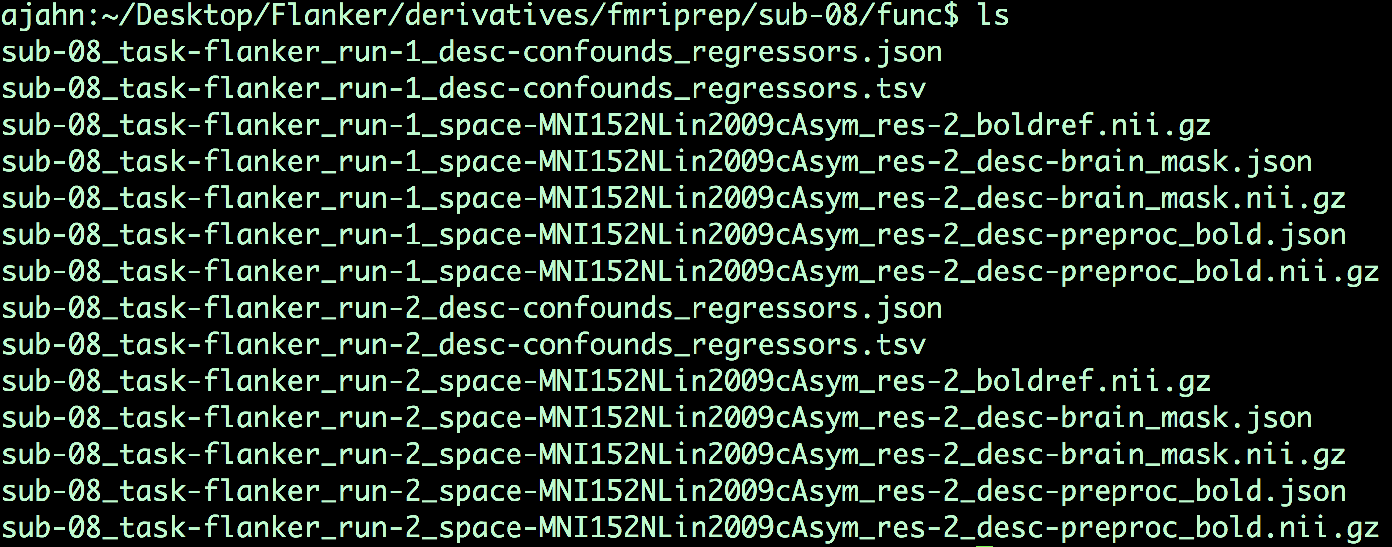 ../../_images/03_fMRIPrep_Output_Func.png