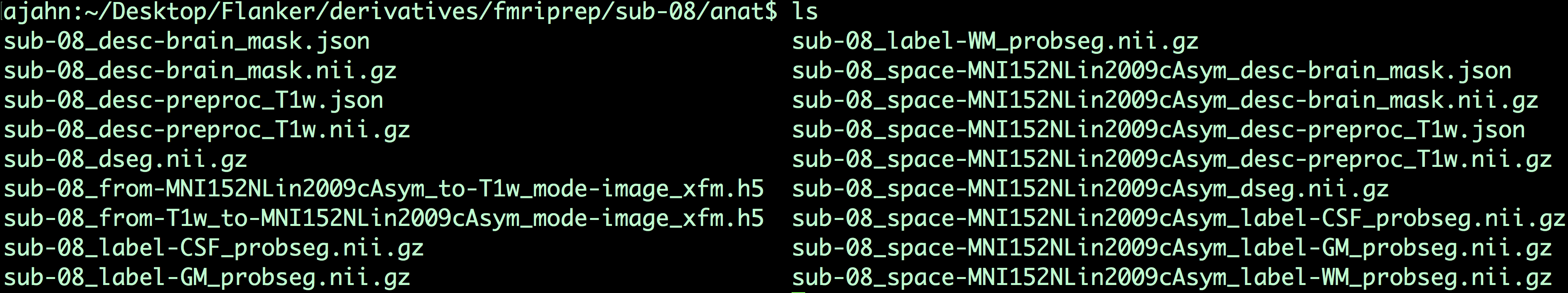../../_images/03_fMRIPrep_Output_Anat.png